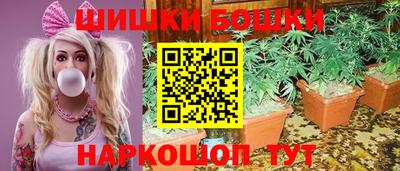 прущие крисы Лесосибирск