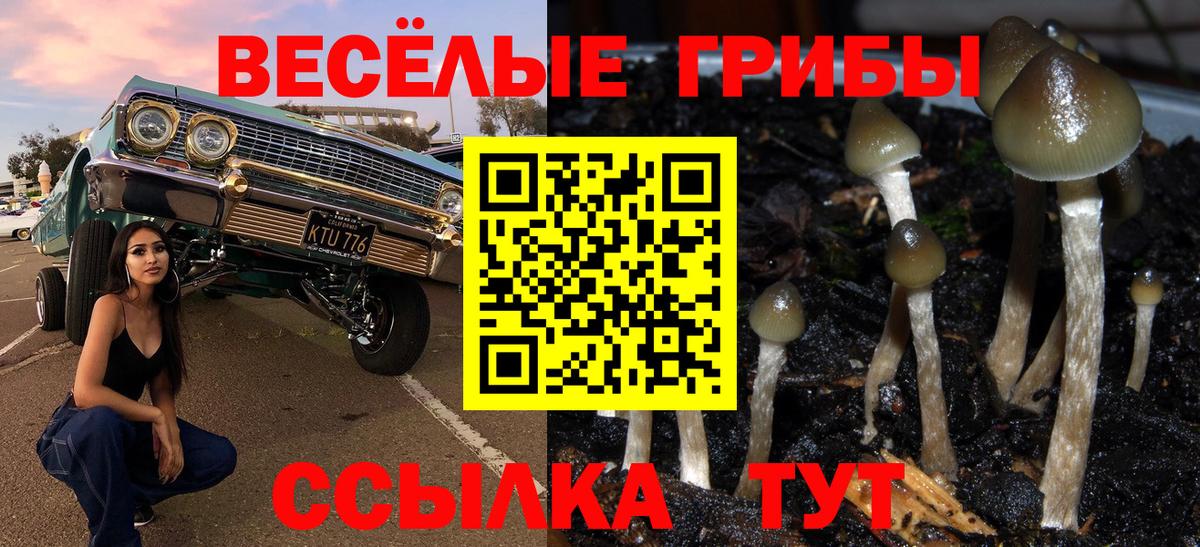 Псилоцибиновые грибы ЛСД Елец