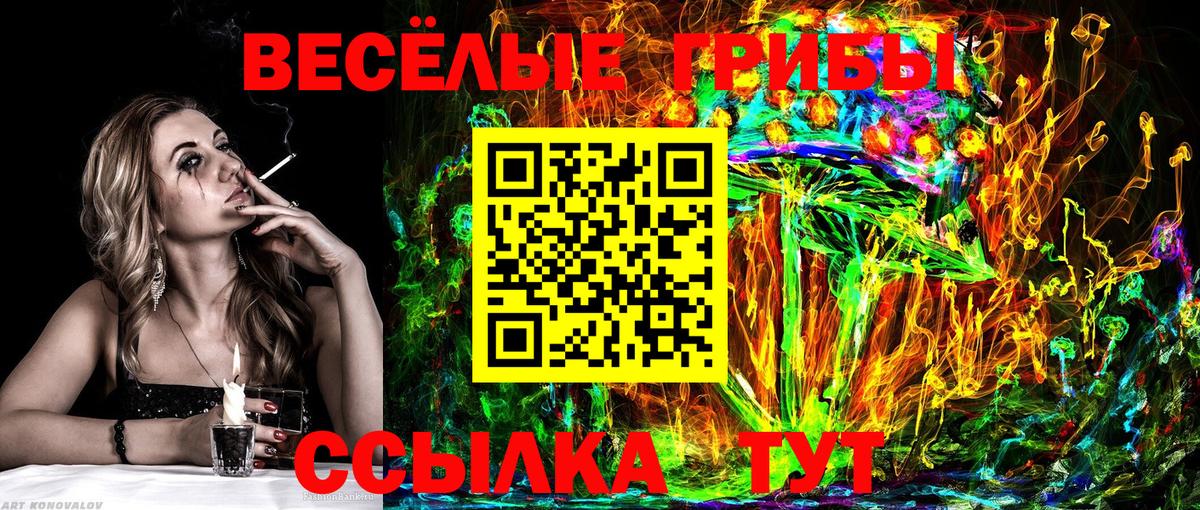 купить   Галлюциногенные грибы мухоморы  Вход с VPN  Елец 